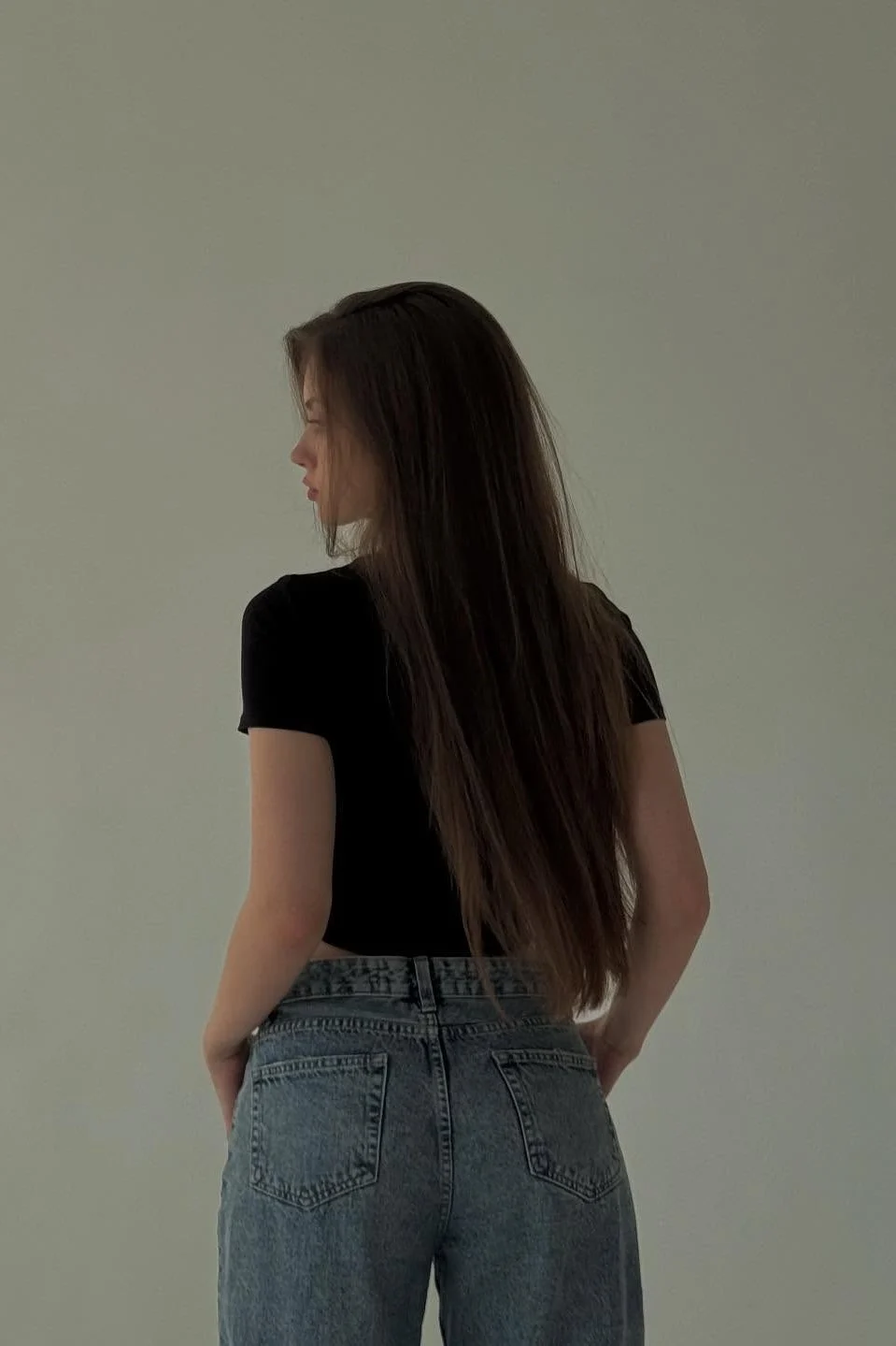 Модель Liza