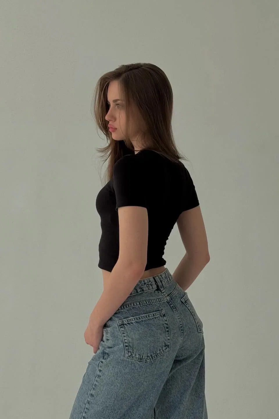 Модель Liza